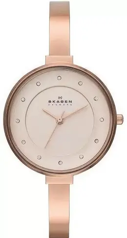 Skagen: Часы 