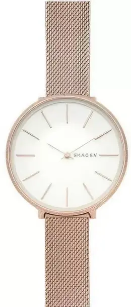 Skagen: Часы 