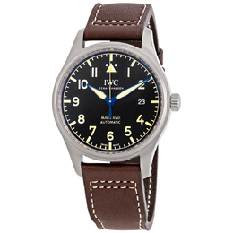 IWC: Часы  Pilot's