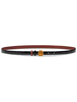 ETRO: Ремень  Pegaso