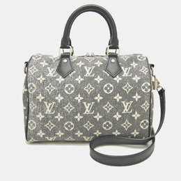 Louis Vuitton: Сумка  Speedy