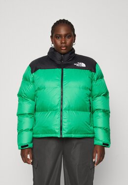 The North Face: Пуховик  1996 Retro Nuptse