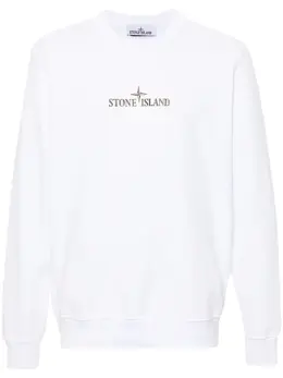 Stone Island: Свитшот с принтом 