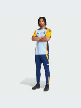 adidas: Спортивные брюки 