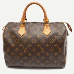 Louis Vuitton: Коричневая сумка  Speedy 30