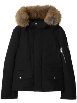 Burberry: Хлопковая куртка 