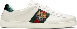 Gucci: Белые кроссовки  Ace