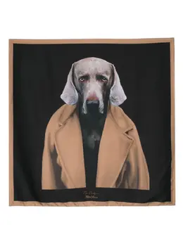 Max Mara: Шарф с принтом 