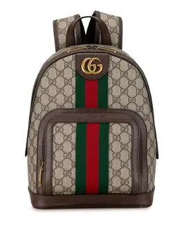 Gucci Pre-Owned: Коричневый рюкзак 