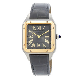 Cartier: Часы  Santos-Dumont