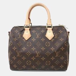 Louis Vuitton: Коричневая сумка  Speedy 25