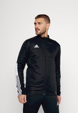 Adidas: Спортивная куртка  Essential