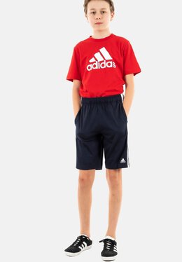 Adidas: Спортивные шорты  Originals