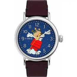 TIMEX: Часы 