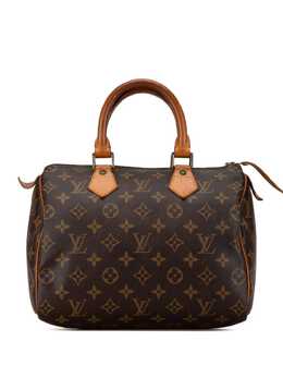 Louis Vuitton Pre-Owned: Коричневая сумка 