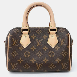 Louis Vuitton: Коричневая сумка  Speedy