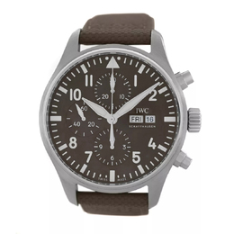 IWC: Часы  Pilot's