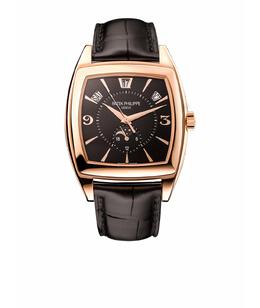 PATEK PHILIPPE: Часы 