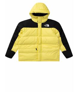 THE NORTH FACE: Зимний пуховик 