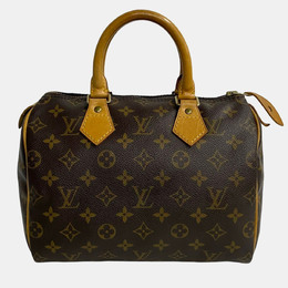 Louis Vuitton: Коричневая сумка  Speedy 25