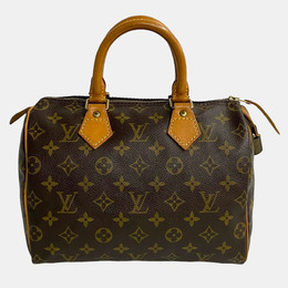 Louis Vuitton: Коричневая сумка  Speedy 25