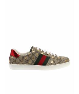 GUCCI: Кеды 