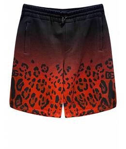 DOLCE&GABBANA: Шорты 