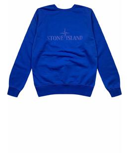 STONE ISLAND: Толстовка 