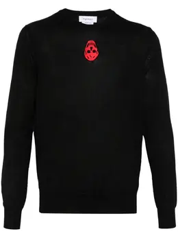 Alexander McQueen: Чёрный свитер  Skull