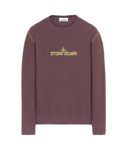 STONE ISLAND: Толстовка 