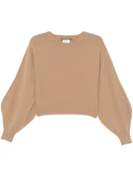 Alberta Ferretti: Коричневый свитер 