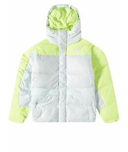 THE NORTH FACE: Пуховик 
