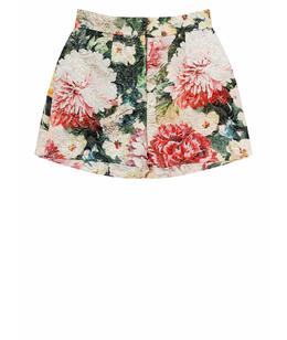 DOLCE&GABBANA: Шорты 