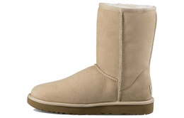 UGG: Сапоги  Classic Short