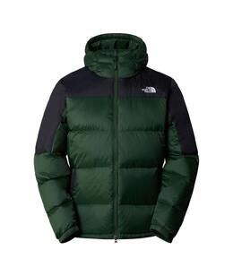 THE NORTH FACE: Пуховик с капюшоном 