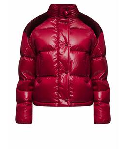 MONCLER: Пуховик 