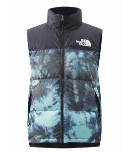 THE NORTH FACE: Голубой жилет 