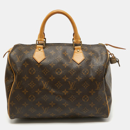 Louis Vuitton: Коричневая сумка  Speedy 30