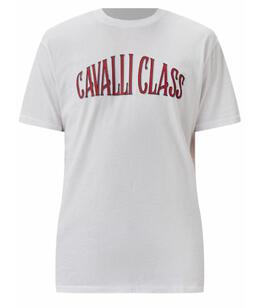 CAVALLI CLASS: Хлопковая футболка 