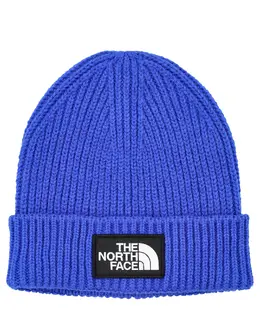 The North Face: Шапка  Logo Box