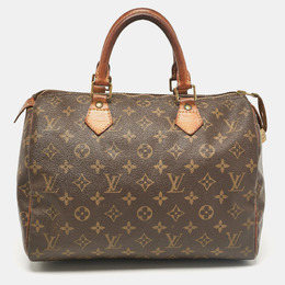 Louis Vuitton: Коричневая сумка  Speedy 30