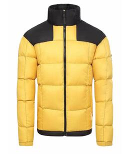THE NORTH FACE: Зимний пуховик 