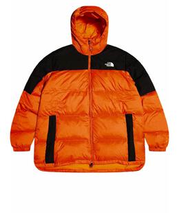 THE NORTH FACE: Пуховик 