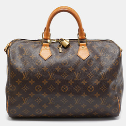 Louis Vuitton: Коричневая сумка  Speedy