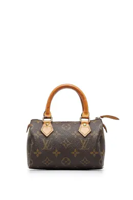 Louis Vuitton Pre-Owned: Коричневая сумка 