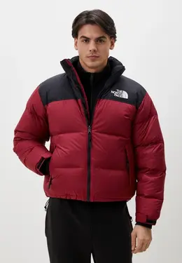 The North Face: Бордовый пуховик 