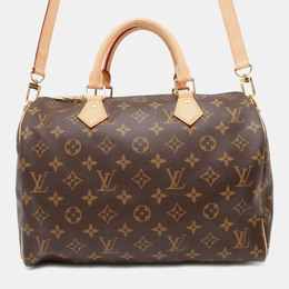 Louis Vuitton: Коричневая сумка  Speedy