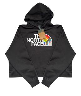 THE NORTH FACE: Толстовка 