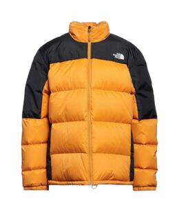 THE NORTH FACE: Пуховик из полиэстера 