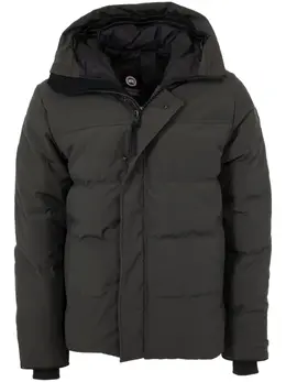 Canada Goose: Классический пуховик  MacMillan